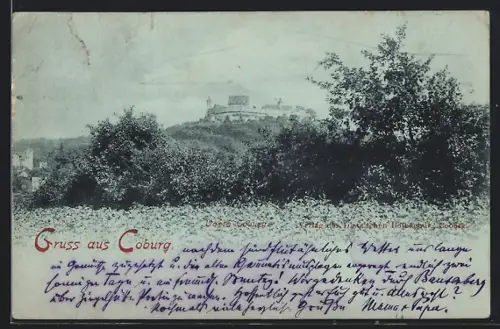 AK Coburg, Veste Coburg