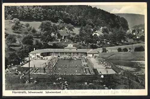 AK Herrenalb /Schwarzwald, Schwimmbad mit Badegästen u. Ortsblick