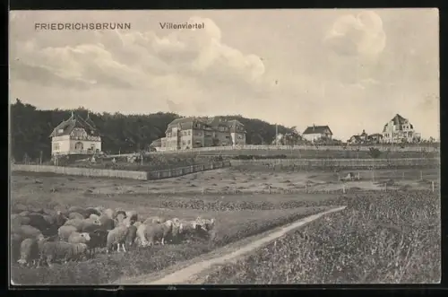AK Friedrichsbrunn, Villenviertel