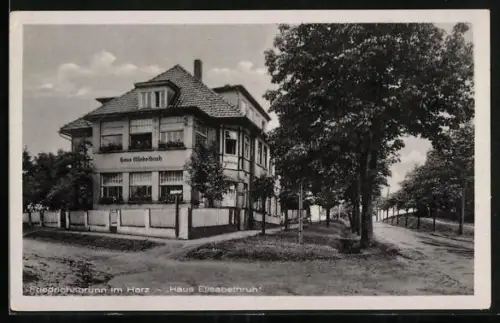 AK Friedrichsbrunn im Harz, Haus Elisabethruh