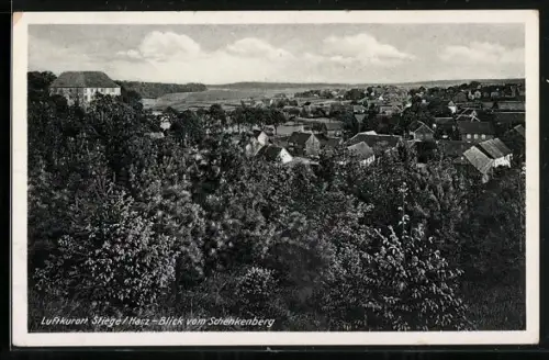AK Stiege /Harz, Blick vom Schenkenberg
