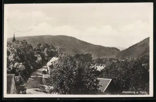 AK Ilsenburg a. Harz, Blick auf Ort und Berge