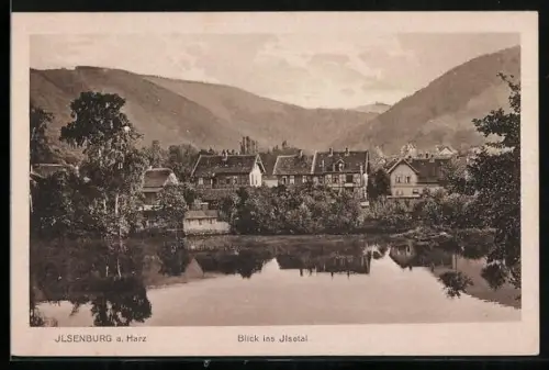 AK Ilsenburg a. Harz, Blick ins Ilsetal