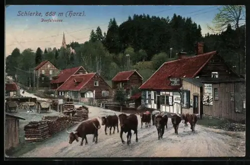AK Schierke /Harz, Dorfstrasse mit Fachwerkhäusern und Viehtrieb