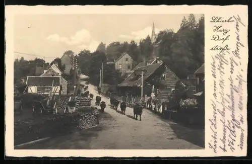 AK Schierke /Harz, Dorfstrasse, Fachwerkhäuser, Viehtrieb