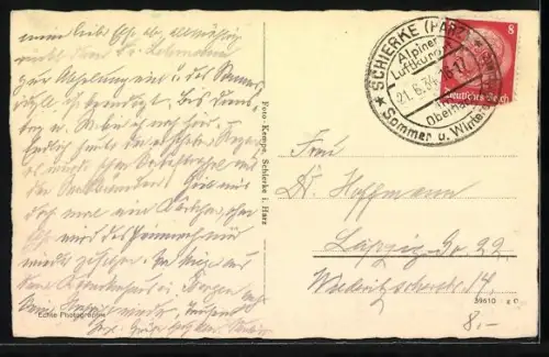 AK Schierke /Harz, Dorfstrasse, Fachwerkhäuser, Viehtrieb