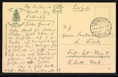 AK Schierke /Harz, Ortsansicht mit Wald und Gebäuden