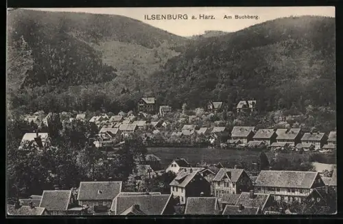 AK Ilsenburg a. Harz, Am Buchberg
