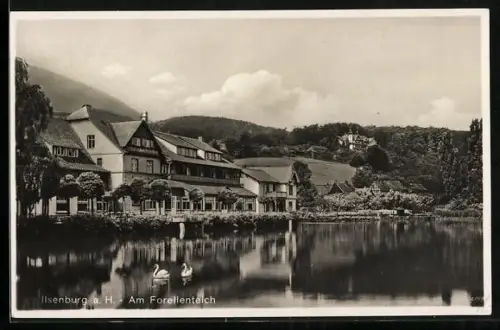 AK Ilsenburg a. H., Am Forellenteich