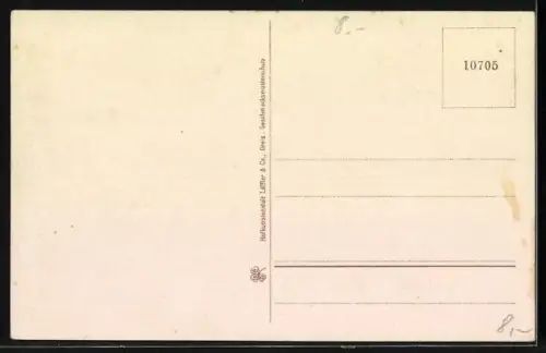 AK Schierke /Harz, Partie an der Bode
