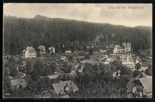 AK Schierke i. H., Blick von der Mauseklippe