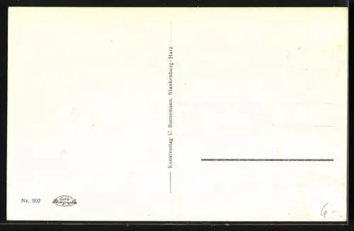 AK Schierke am Brocken, Ortsansicht