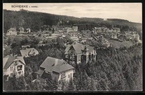 AK Schierke i. Harz, Ortsansicht mit Villen und bewaldeter Umgebung