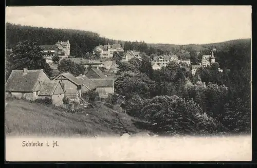 AK Schierke i. H., Ortsansicht mit Häusern und Wald