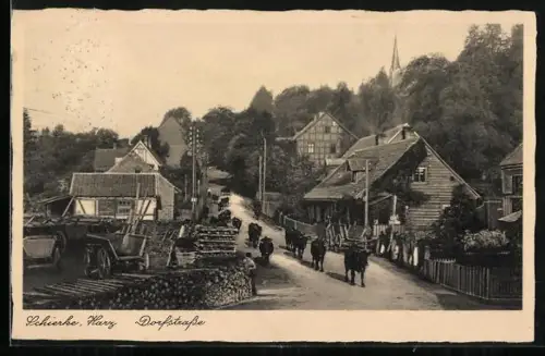 AK Schierke /Harz, Dorfstrasse