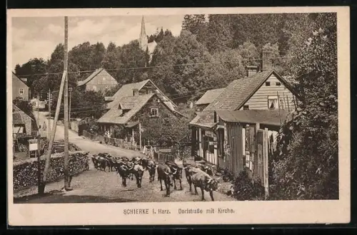 AK Schierke i. Harz, Dorfstrasse mit Kirche