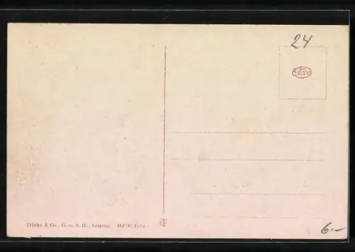 AK Schierke i. Harz, Dorfstrasse mit Kirche