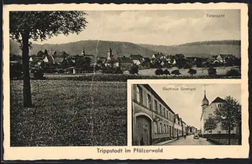 AK Trippstadt im Pfälzerwald, Teilansicht, Gasthaus Sprenger