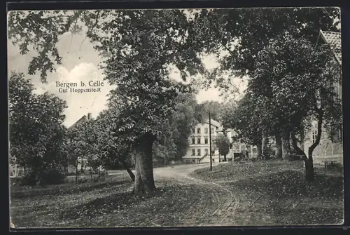 AK Bergen b. Celle, Gut Hoppenstedt