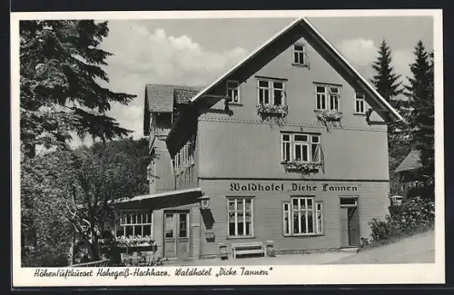 AK Hohegeiss /Hochharz, Waldhotel Dicke Tannen