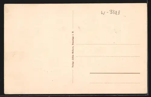 AK Braunlage / Harz, Gebäudepartie in der Ramsenstrasse