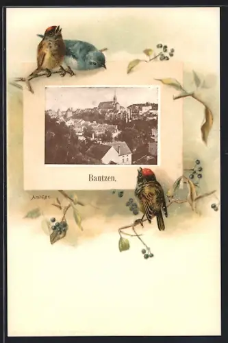Passepartout-Lithographie Bautzen, Stadtansicht, Singvögel auf Zweigen