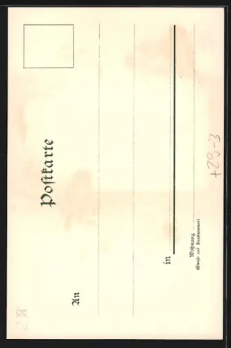 Passepartout-Lithographie Bautzen, Stadtansicht, Singvögel auf Zweigen