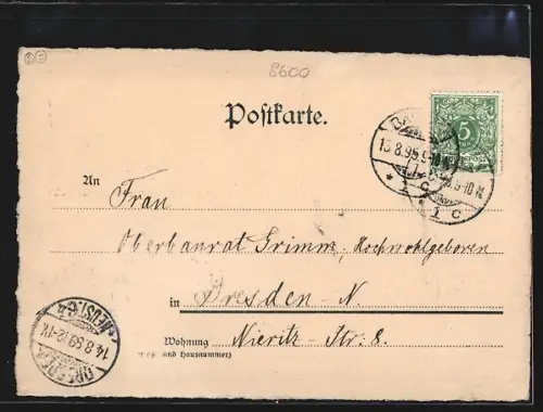 Lithographie Bautzen, Historische Stadtansicht, Damen vor der Stadt