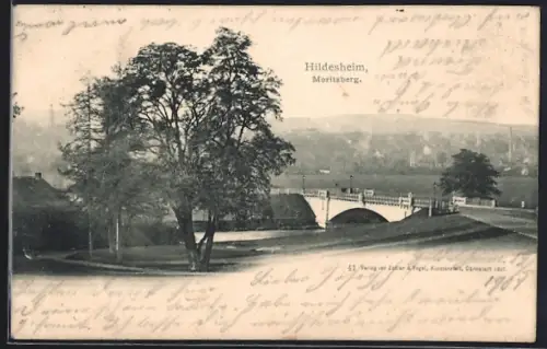 AK Hildesheim, Moritzberg, Brücke und Parkanlage