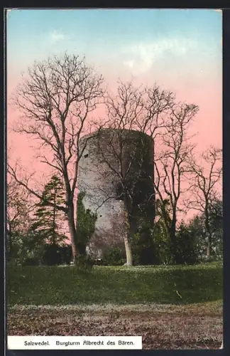 AK Salzwedel, Burgturm Albrecht des Bären