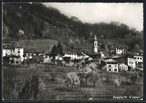 AK Neggio /Ti., Il paese