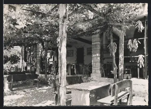 AK Minusio, Ristorante della Campagna Leoni