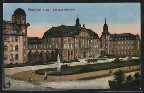 AK Frankfurt-Westend, Senckenbergianum, Brunnen, Parkanlage
