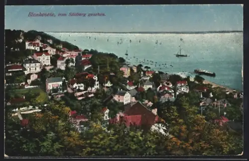 AK Hamburg-Blankenese, Vom Süllberg gesehen, Elbblick, Villen, Segelboote