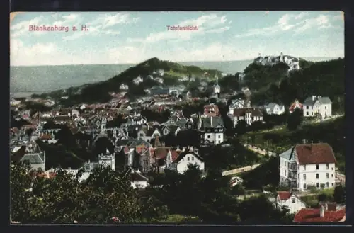 AK Blankenburg a. H., Totalansicht