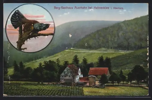 AK Hahnenklee /Oberharz, Berg-Gasthaus Auerhahn, Landschaft, Auerhahn-Abbildung
