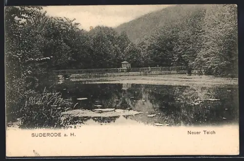 AK Suderode a. H., Neuer Teich