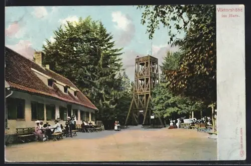 AK Viktorshöhe im Harz, Aussichtsturm und Gasthaus