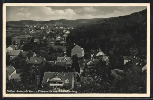 AK Suderode /Harz, Villenpartie am Schwedderberg
