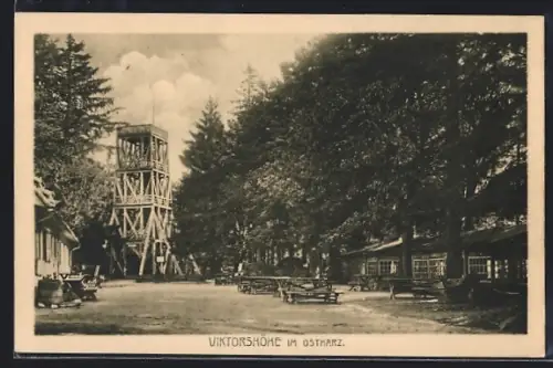 AK Viktorshöhe /Ostharz, Aussichtsturm, Waldgaststätte, Sitzbänke
