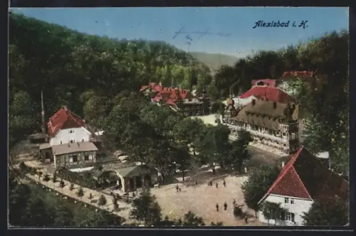 AK Alexisbad i. H., Ortsansicht mit Kurhaus und umliegenden Gebäuden