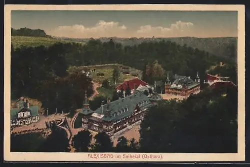 AK Alexisbad /Seiketal, Kurhaus, Talansicht