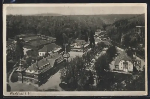 AK Alexisbad i. H., Ortsansicht mit Kurgebäuden und Wald