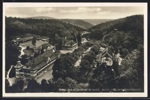 AK Alexisbad im Harz, Blick vom Borkenhäuschen auf Kurhäuser und Umgebung