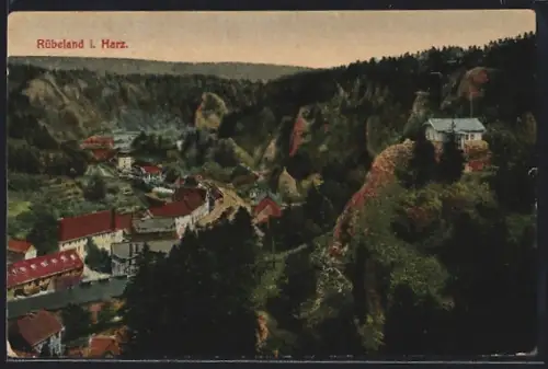 AK Rübeland i. Harz, Teilansicht mit Strassenpartie