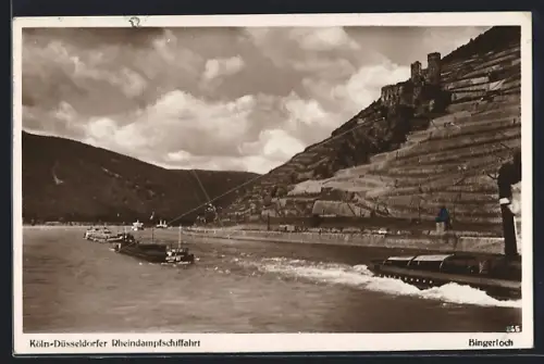 AK Rüdesheim am Rhein, Köln-Düsseldorfer Rheindampfschifffahrt, Weinberge, Burgruine