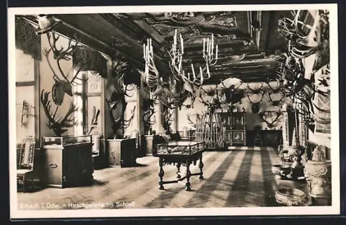 AK Erbach i. Odenw., Hirschgalerie im Schloss