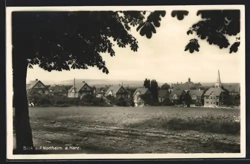 AK Northeim a. Harz, Blick auf den Ort