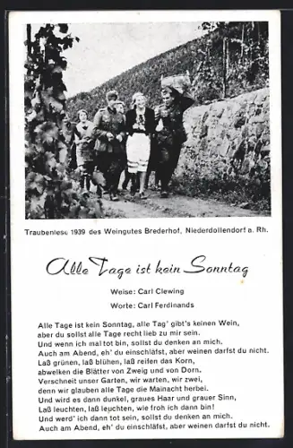 AK Niederdollendorf a. Rh., Traubenlese 1939 des Weingutes Brederhof