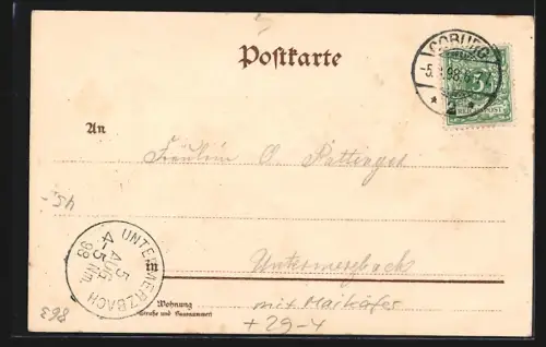 Holzbrand-Imitations-AK Coburg, Käfer mit Wanderstock blickt auf den Ort durch ein Fernglas